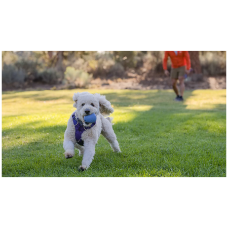 Jouet pour chien Ruffwear Huckama™ Toy
