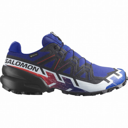 Chaussures homme Salomon Speedcross 6 Gore-Tex Equipe