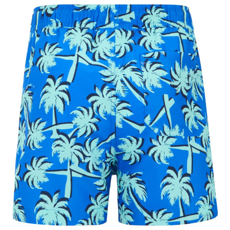 Maillot bain enfant Regatta Skander SBluIGrPalm