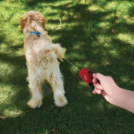 Laisse pour chien Nite Ize RadDog™ Retractable Pocket Leash