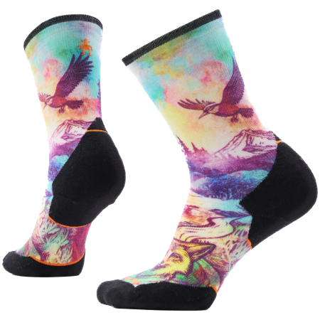 Chaussettes Smartwool Women's Trail Run Targeted Cushion Seren mix1