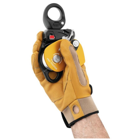 Poulie Petzl Pro Traxion