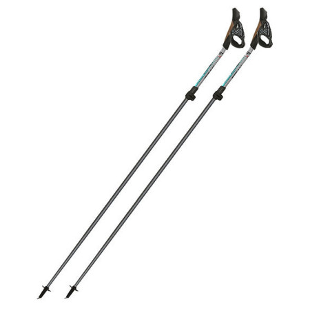 Bâtons de marche nordique Fizan NW Carbon Pro Impulse