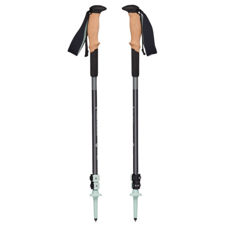 Bâtons randonnée Black Diamond Pursuit Shock Trekking Poles