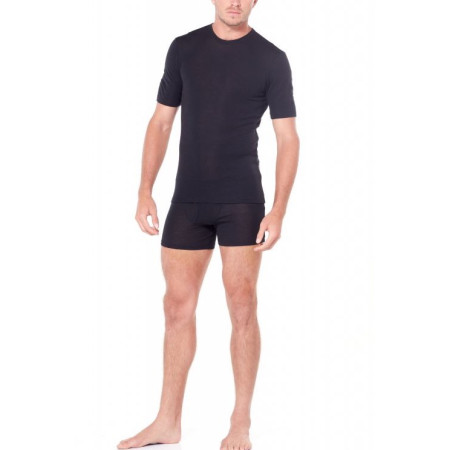 T-shirt homme Icebreaker Mens 175 Everyday SS Crewe