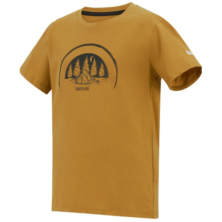 T-shirt enfant Regatta Bosley Wood Brown