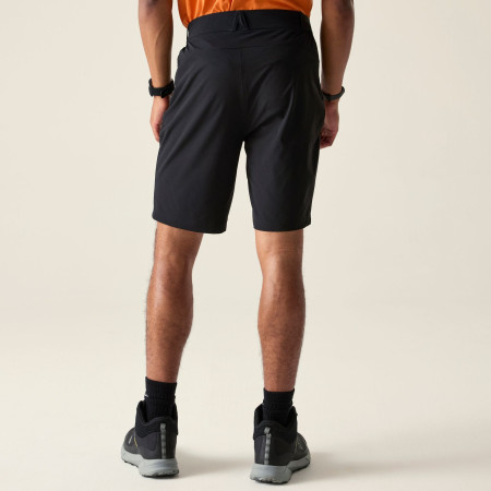 Shorts homme Dare 2b Torrek Lite Short