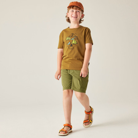 T-shirt enfant Dare 2b Trailbazer III Tee Dark Cumin