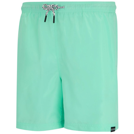 Shorts homme Regatta Mackleyna Swim Short