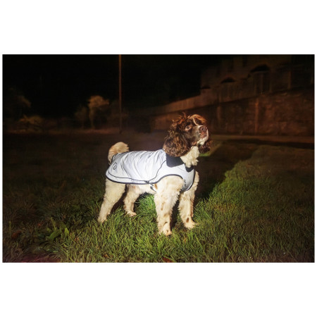 Imperméable pour chien Mountain Paws Reflective Fleece-Lined Dog Raincoat