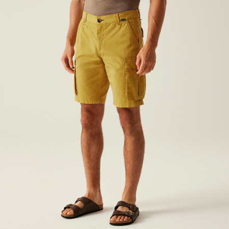 Short homme Regatta Shorebay Shorts II
