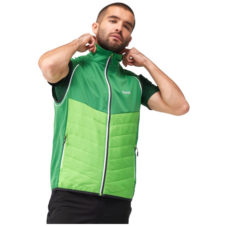 Veste homme Regatta Steren Hybrid