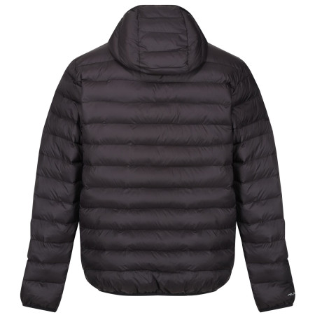 Veste homme Regatta Hooded Marizion