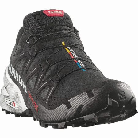 Chaussures homme Salomon Speedcross 6 Gtx 20 Years