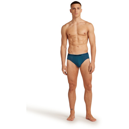 Slip homme Icebreaker Mens Anatomica Briefs