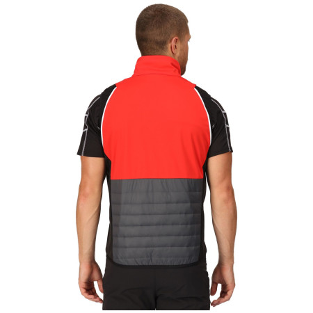 Veste homme Regatta Steren Hybrid