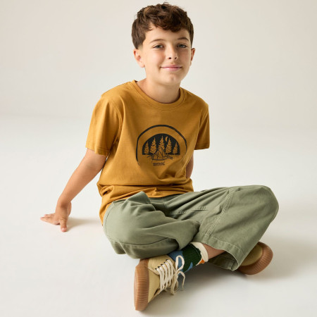 T-shirt enfant Regatta Bosley Wood Brown