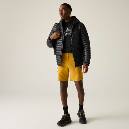 Veste homme Regatta Hurden