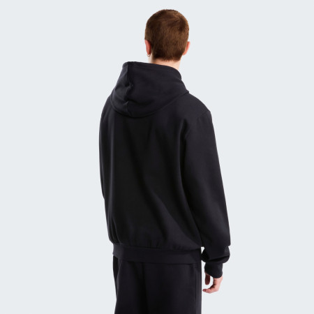 Sweat-shirt homme The North Face M Evolution Simple Dome Regular Hoodie