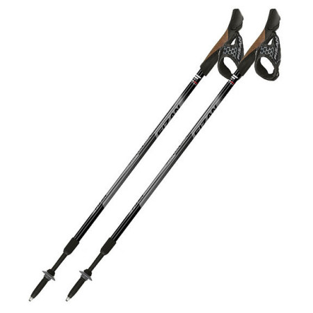 Bâton Fizan NW Speed