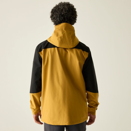 Veste homme Regatta Freesdale