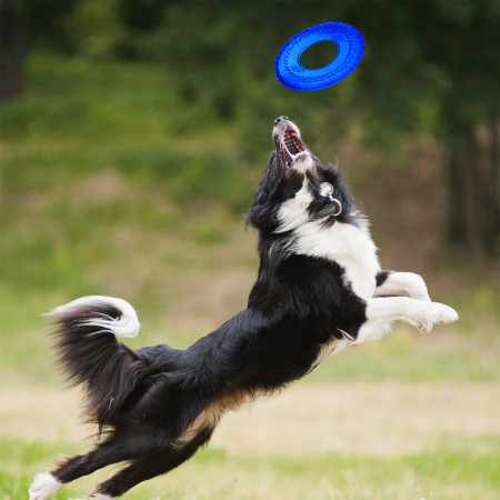 Jouet pour chien Nerf Dog Translucent TPR Tire Flyer 25 cm