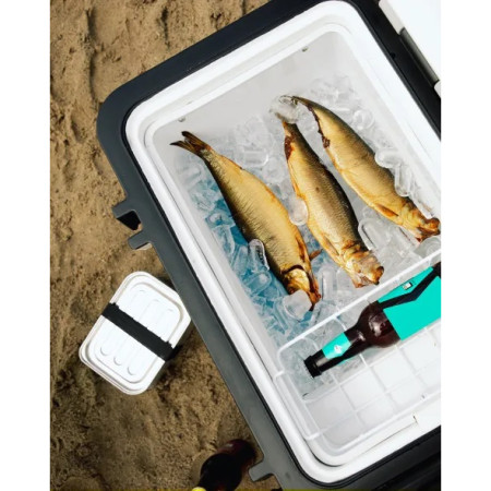 Réfrigérateur à compresseur Mestic Compressor MCCA-42 AC / DC