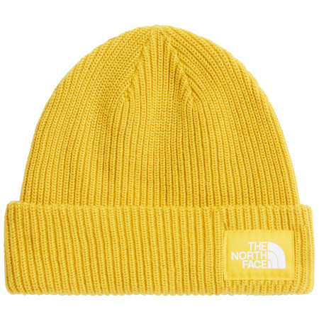 Bonnet The North Face Salty Lined Beanie