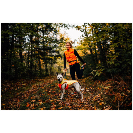 Gilet réfléchissant pour chien Ruffwear Lumenglow Hi-Viz Jacket