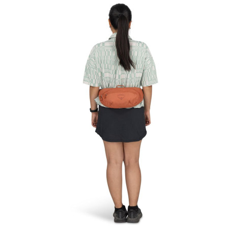 Sac banane Osprey Daylite Waist Pack