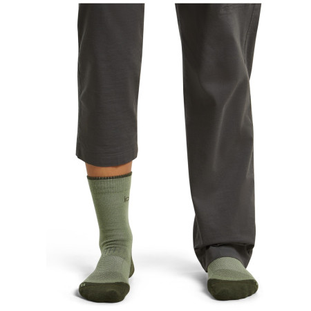 Chaussettes femme Icebreaker W Mer Hike+ Light Crew
