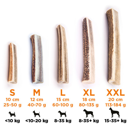 Jouet pour chien Explorer Dog Antler Chew easy