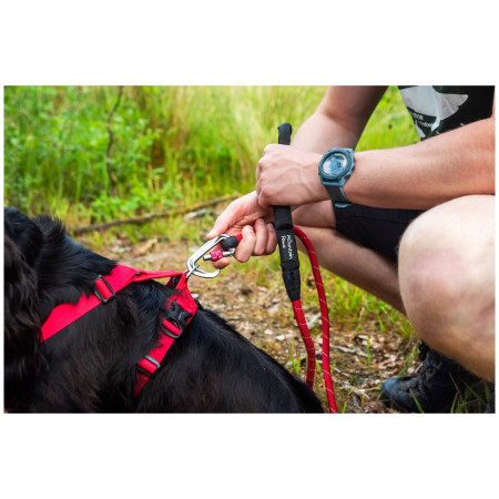 Laisse pour chien Mountain Paws Rope Dog Lead
