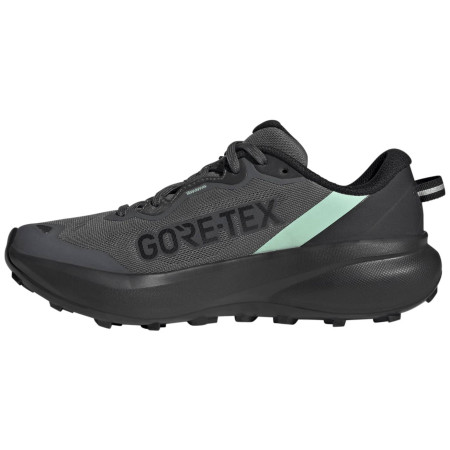 Chaussures running femme Adidas Terrex Tracefinder Plus Gtx