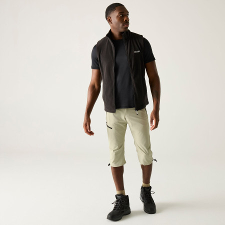 Pantalon 3/4 homme Regatta Xert Stretch Capri