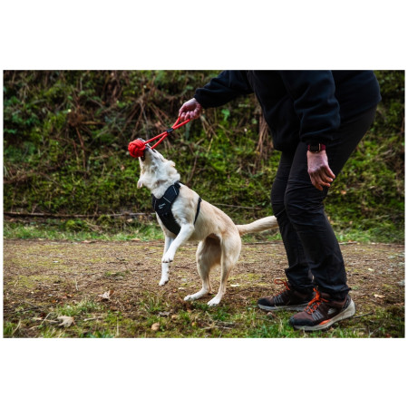 Jouet pour chien Mountain Paws Ball Chew Rope Dog Toy