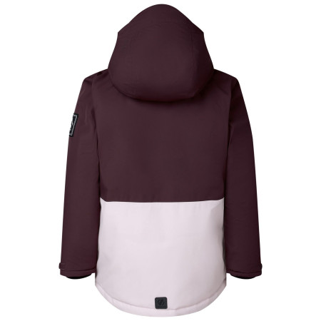 Veste enfant Dare 2b Wing It Jacket Hucklbr/PkHz