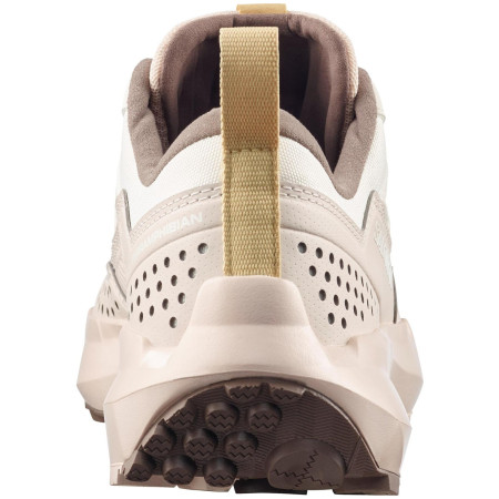 Chaussures femme Salomon Terramphibian W