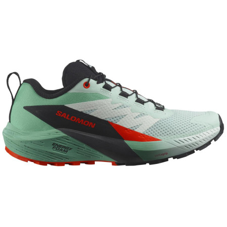 Chaussures running femme Salomon Sense Ride 5