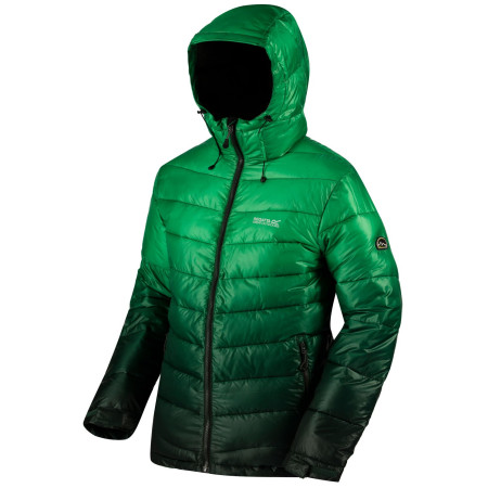 Veste homme Regatta Azuma green Drkestpruction