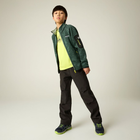 Sweatshirt enfant Regatta Junior Newhill DrkForGlacGr