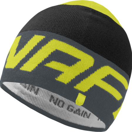 Bonnet Dynafit Radical Beanie vert / gris 0721 - cinder/0910