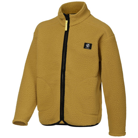 Sweatshirt enfant Dare 2b Zesty II Fleece Wood Brown