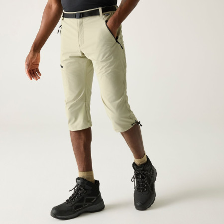 Pantalon 3/4 homme Regatta Xert Stretch Capri
