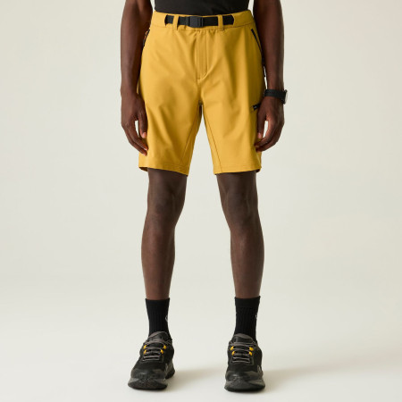 Shorts homme Dare 2b Tuned In Pro II Short