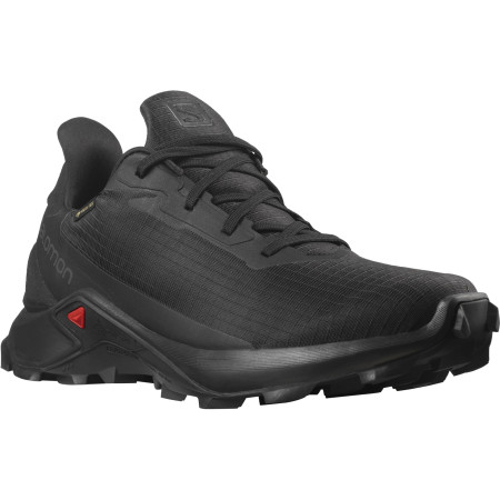 Chaussures homme Salomon Alphacross 3 Gore-Tex vert Black(PantoneTapShoe)