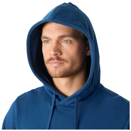 Sweat-shirt homme Helly Hansen HH Logo Hoodie
