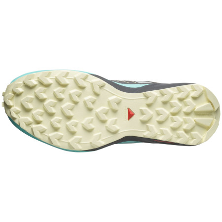 Chaussures femme Salomon Speedcross Peak