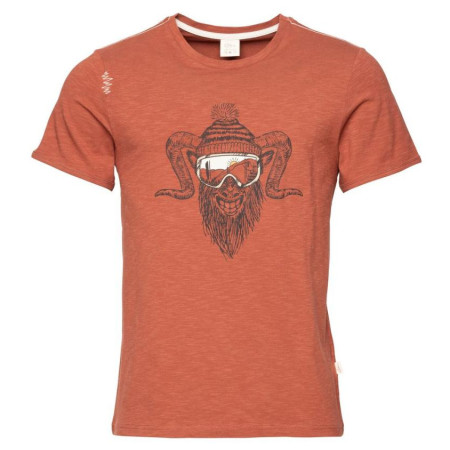 T-shirt homme Chillaz Rock Hero Winter brun brick