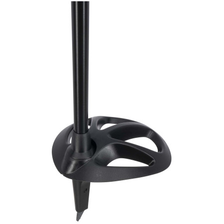 Bâtons course Swix Infinity Touring